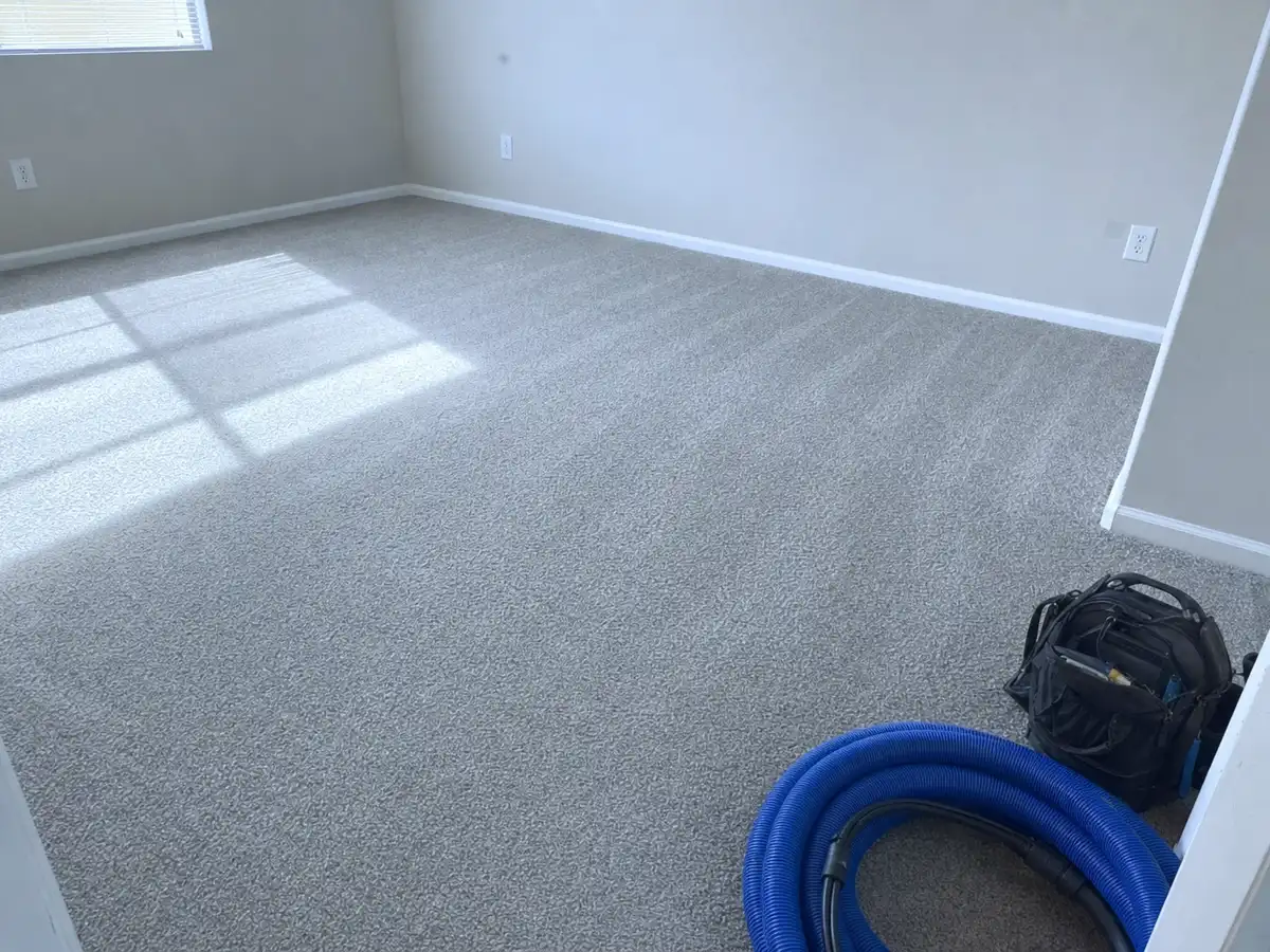 Freshly cleaned carpet with the furniture back in place — completed job in Studio City, CA